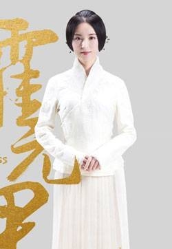 赵文卓毛林林《霍元甲》海报图片