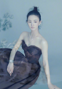 赵丽颖复古国风大片写真图片