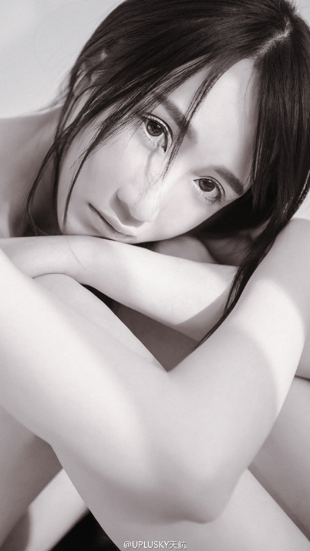 杉原杏图片