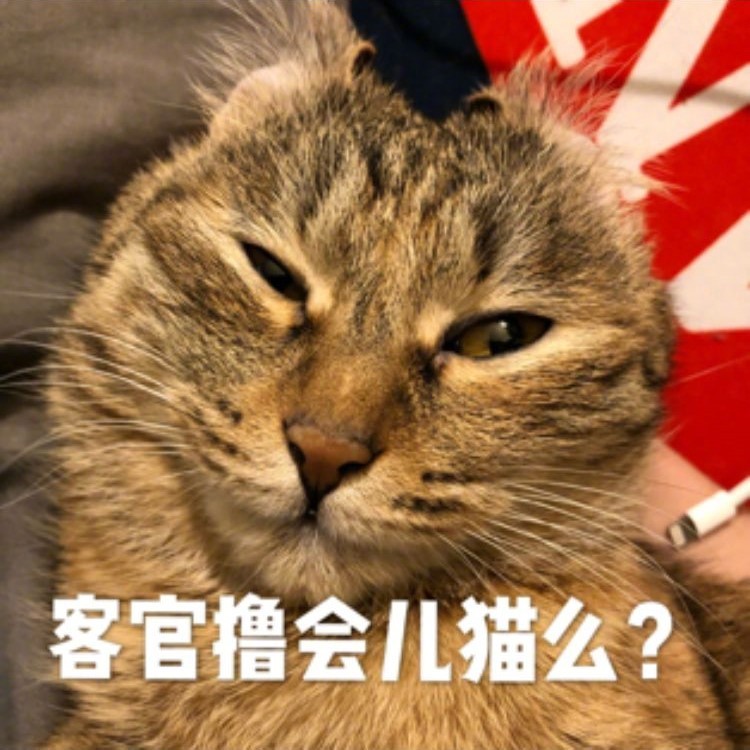 微信聊天必备表情包图片图片