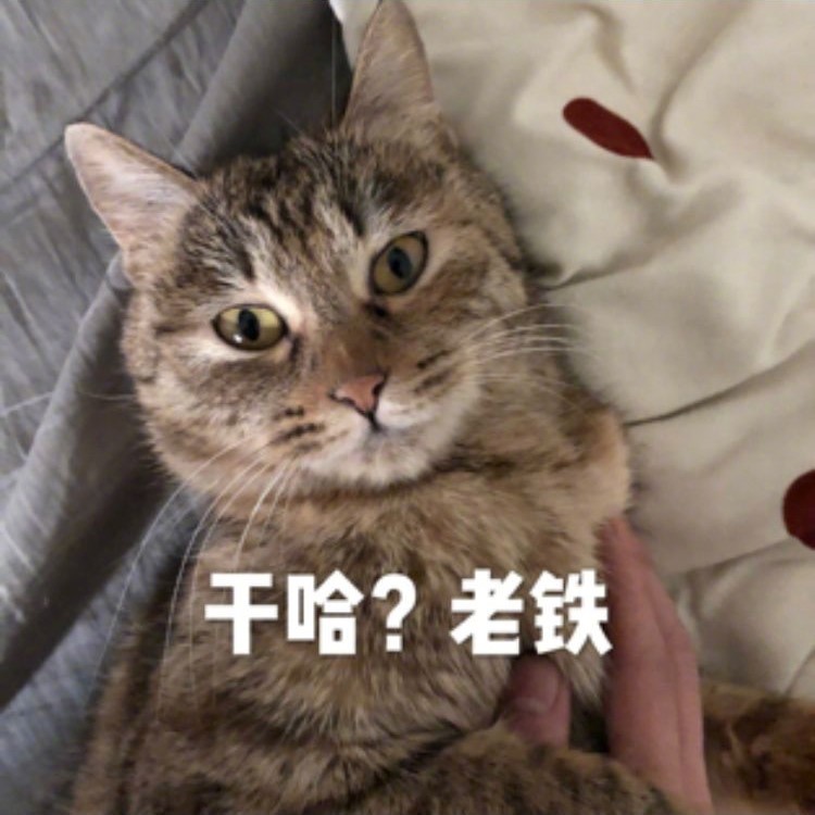 微信聊天必备表情包图片图片