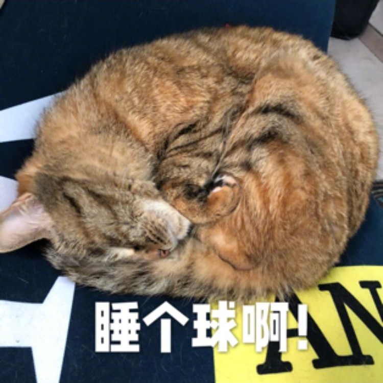 微信聊天必备表情包图片图片