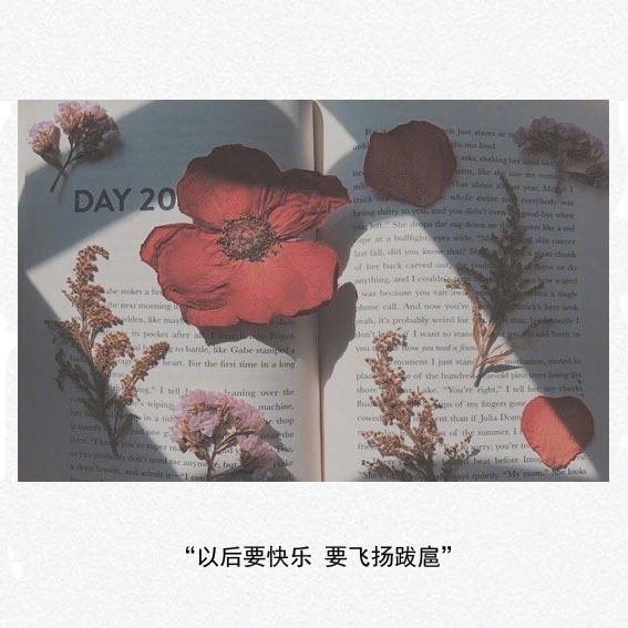用东野圭吾的方式说爱你唯美文字图片图片