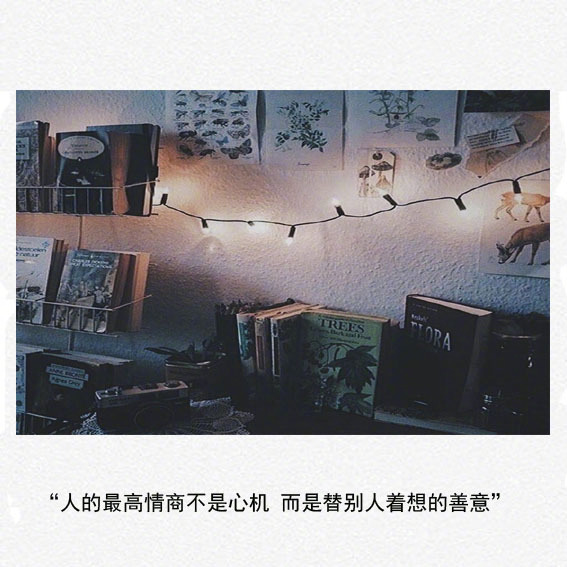 唯美暖心的文字语录图片图片