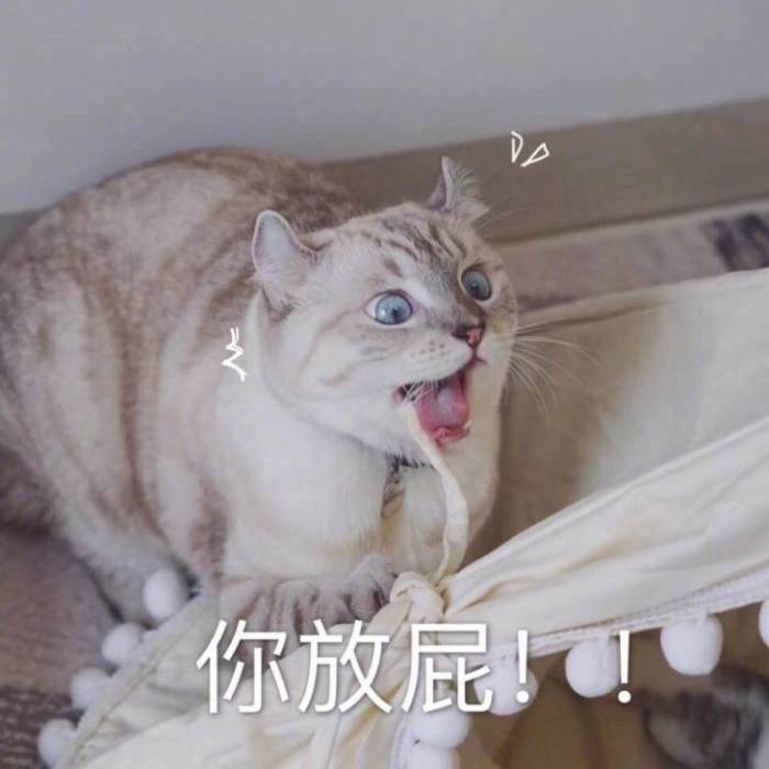 小猪佩奇表情包 小猪佩奇最新表情图片图片