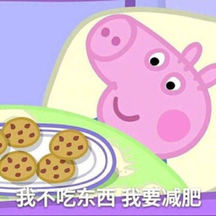 小猪佩奇表情包 小猪佩奇最新表情图片图片