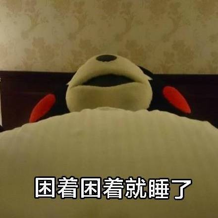 熊本熊最新带字表情包图片图片