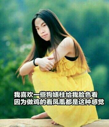 可爱猫咪带字表情包图片图片