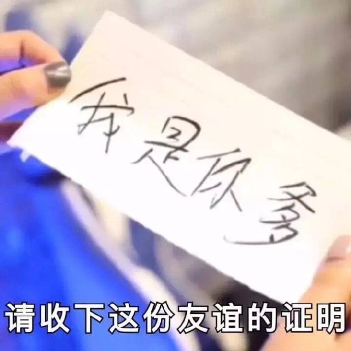 可爱猫咪带字表情包图片图片