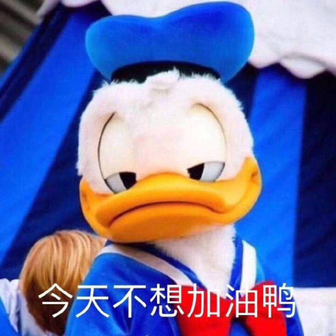 可爱猫咪带字表情包图片图片