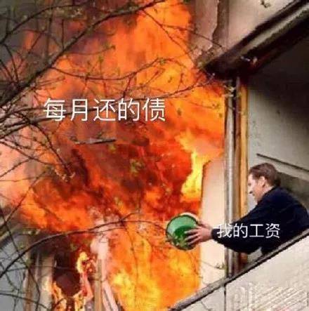可爱猫咪带字表情包图片图片