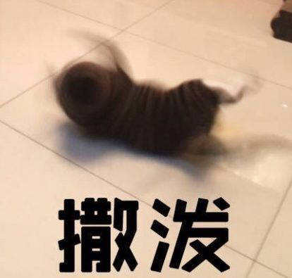 搞笑聊天表情包图片图片