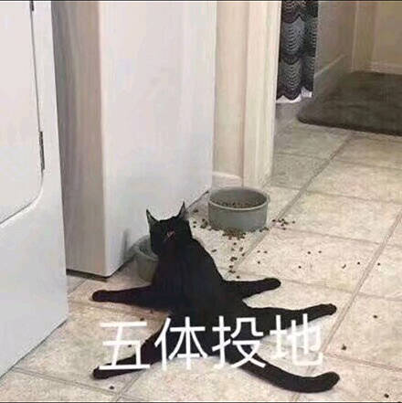 搞笑聊天表情包图片图片