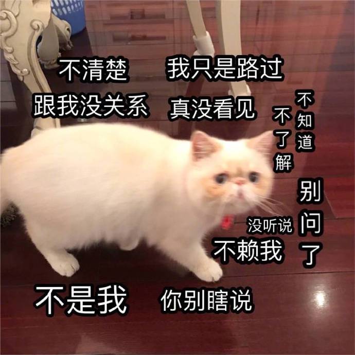 搞笑聊天表情包图片图片