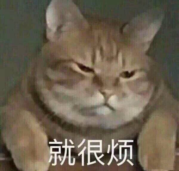 小猪佩奇表情包图片图片