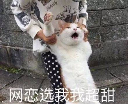 最新搭讪带字搞笑表情包图片图片