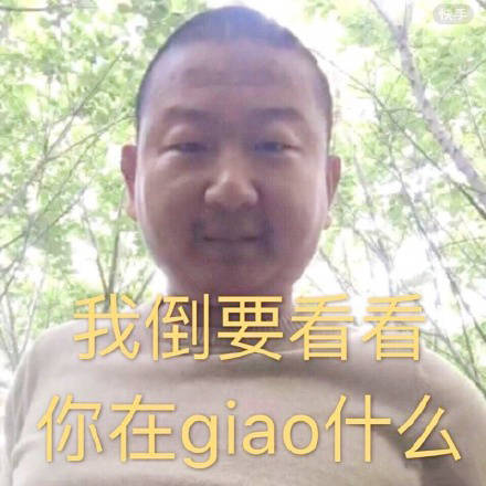 可爱猫咪带字表情包图片图片