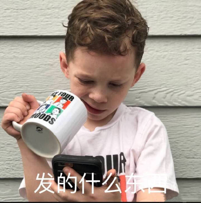 可爱猫咪带字表情包图片图片
