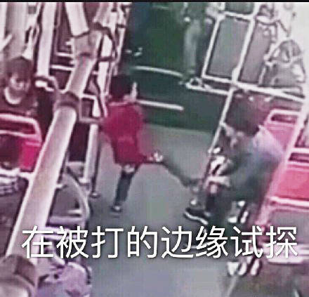 可爱猫咪带字表情包图片图片