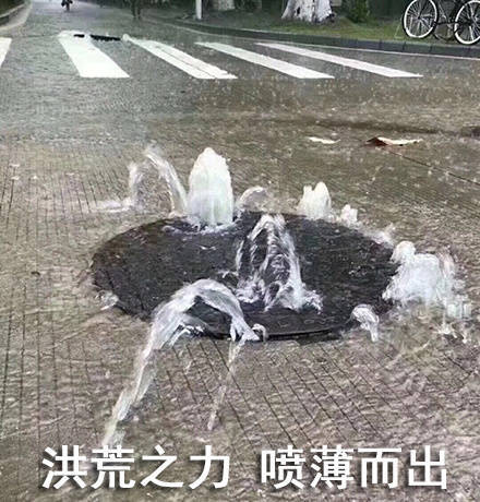 可爱猫咪带字表情包图片图片