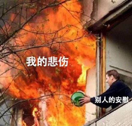 可爱猫咪带字表情包图片图片