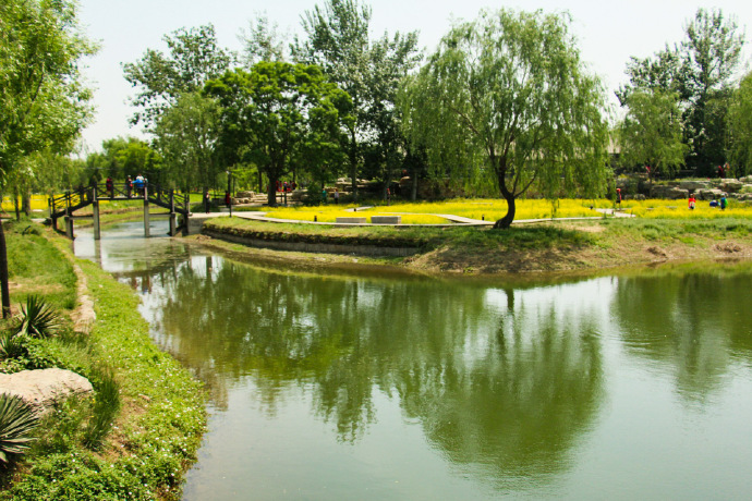 花卉图片