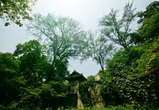 旧金山海边的浪漫情人节图片