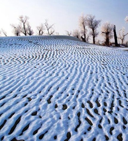 冬天雪景唯美手机壁纸图片图片