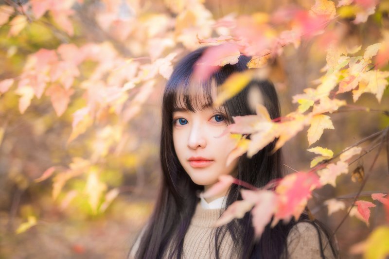 Cherry图片