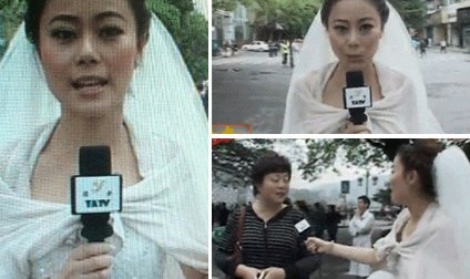 高清动物憨态可掬的南极企鹅图片