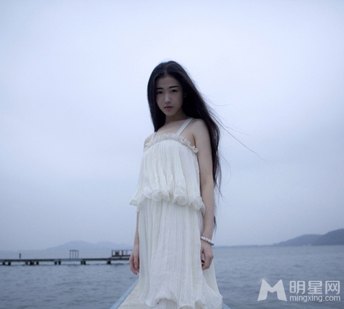 张辛苑图片