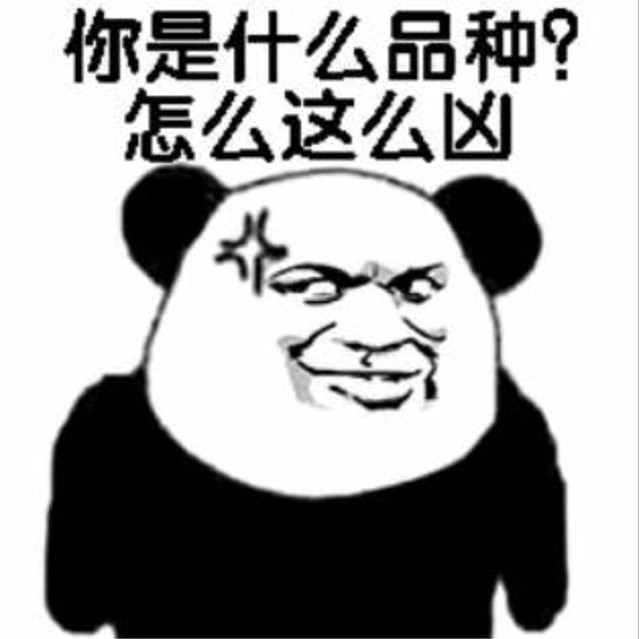 搞笑聊天表情包图片图片