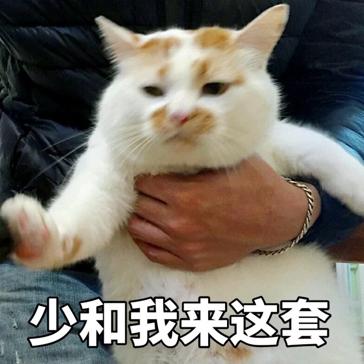 微信搞笑必备表情包图片图片