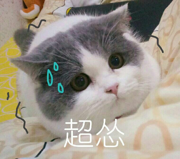 搞笑聊天表情包图片图片