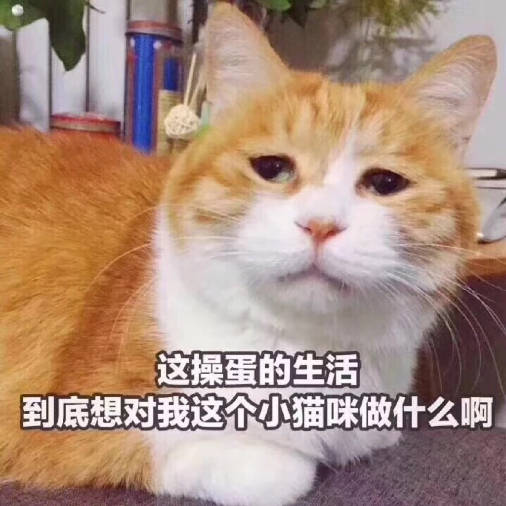 搞笑聊天表情包图片图片