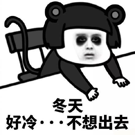 可爱猫咪带字表情包图片图片