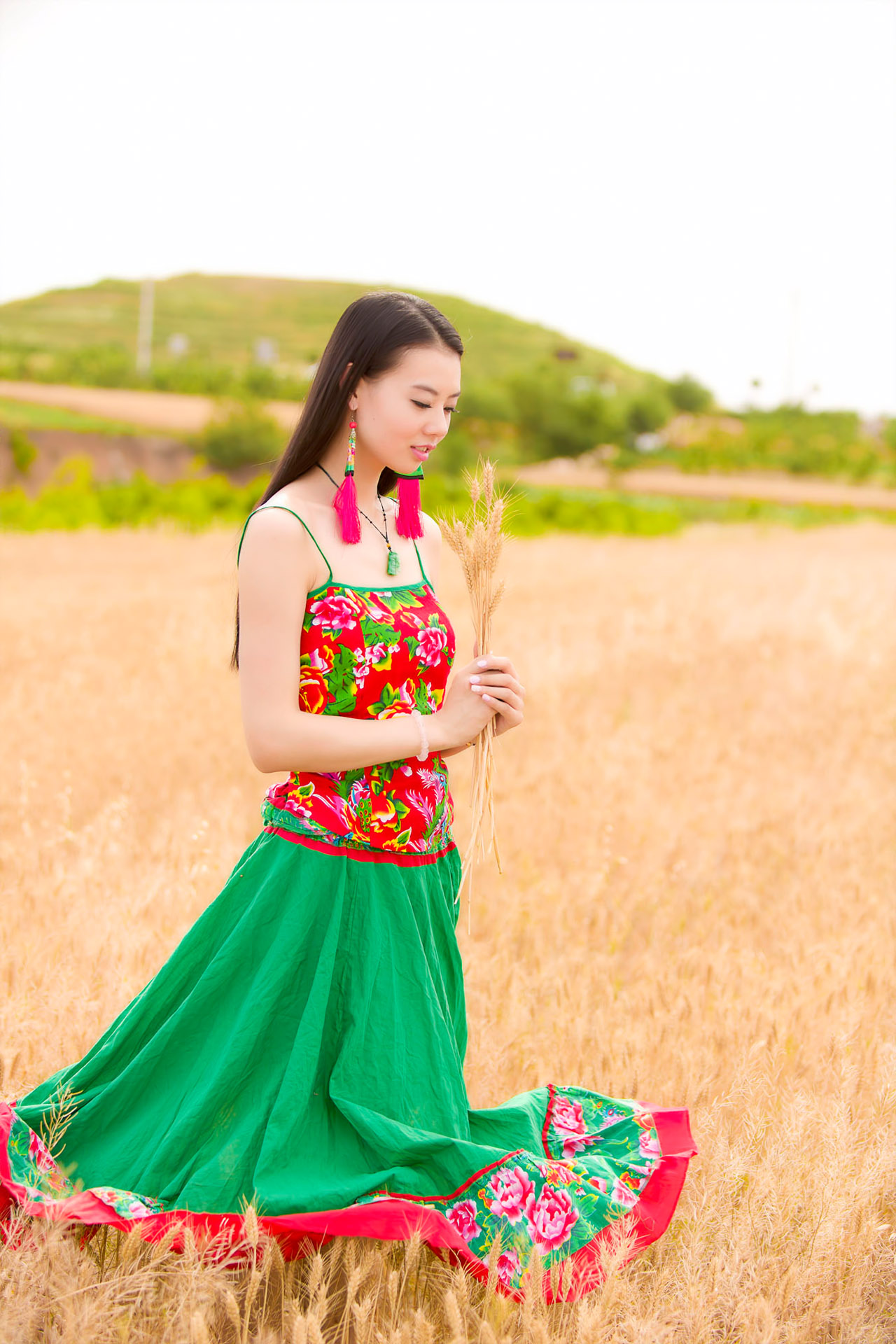 麦田图片