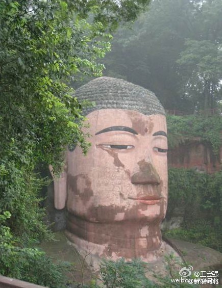 王宝强超贱表情图片