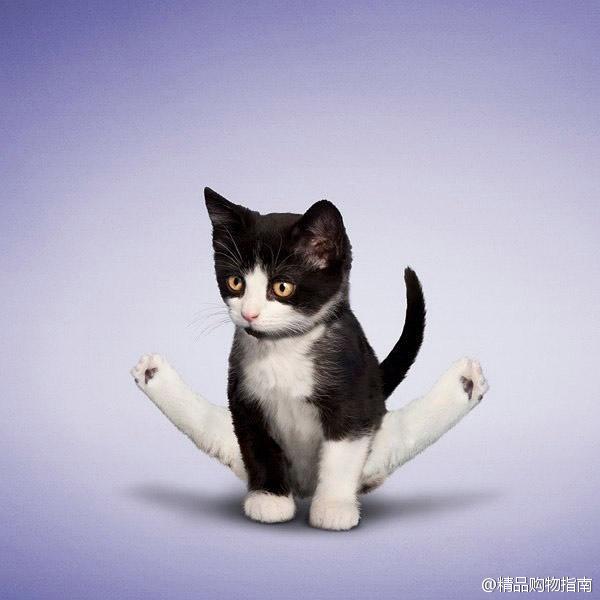 90后性感小猫咪写真图片