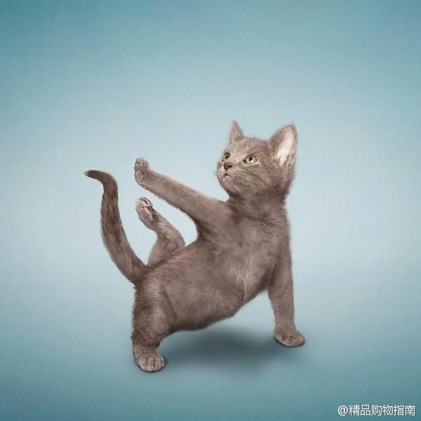90后性感小猫咪写真图片