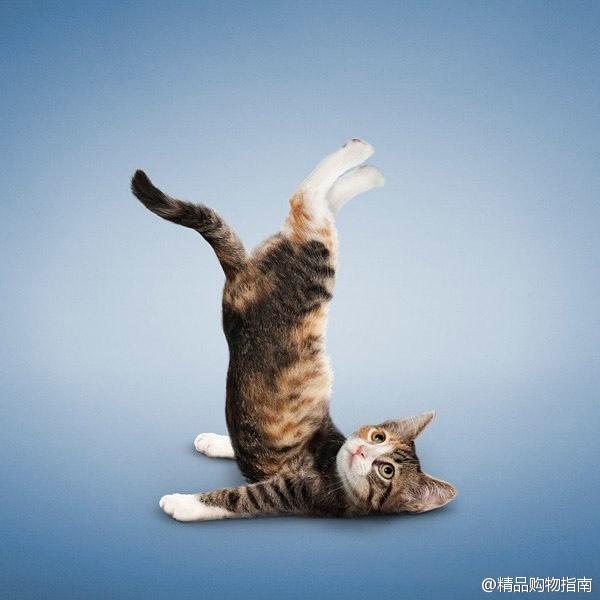 90后性感小猫咪写真图片