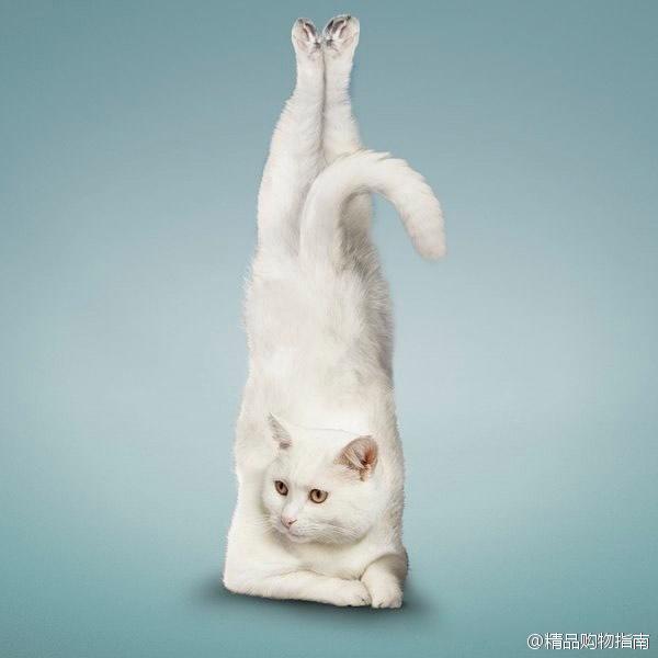 90后性感小猫咪写真图片