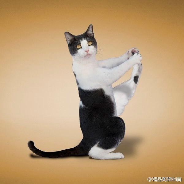 90后性感小猫咪写真图片
