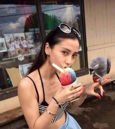 黄晓明《横冲直撞好莱坞》海报图片 黄晓明赵薇佟大为剧照图片图片 黄晓明《横冲直撞好莱坞》海报图片 黄晓明赵薇佟大为剧照图片图片