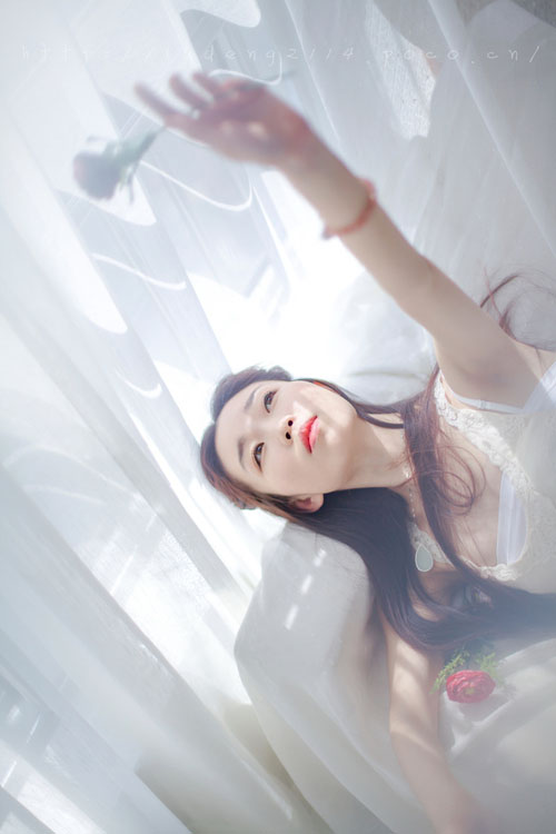玫瑰美女图片