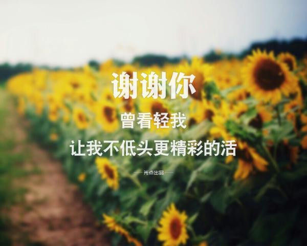 创意伤感文字高清手机壁纸图片