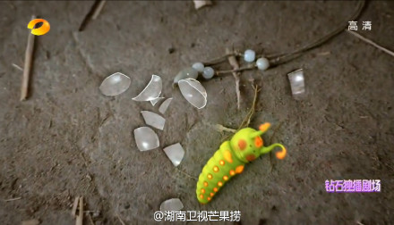 电视剧《虎妈猫爸》赵薇剧照图片赵薇发威佟大为求饶图片