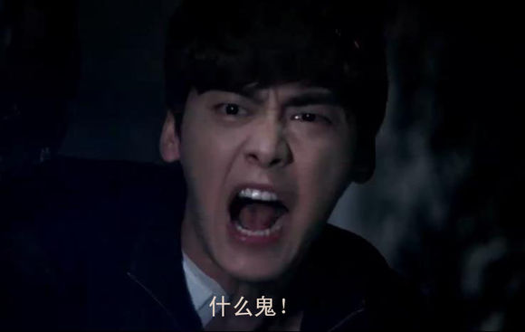 可爱猫咪带字表情包图片图片