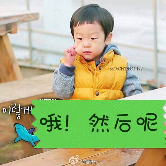 可爱猫咪带字表情包图片图片