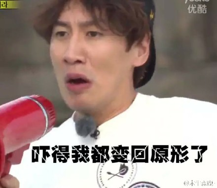 可爱猫咪带字表情包图片图片